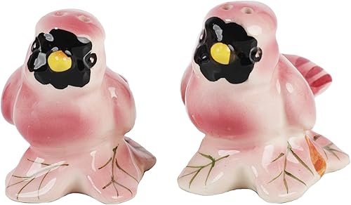 Vista 21 de Coctelera de cerámica para pájaros y salero, decoración de cocina, jaula para pájaros Ave jaula