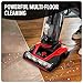 Dirt Devil Multi-Surface Extended Reach+ Upright Bagless Vacuum Cleaner for Carpet and Hard Floor, Powerful, Lightweight, Corded Vacuum Cleaners for Home Use