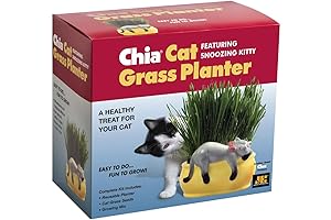 Chia Pet Kitty Cat Planter: The Purr-fect Addition to Your Plant Collection