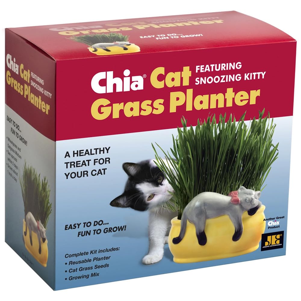 Chia Pet Kitty Cat Grass, Decorative Pottery Planter, Easy to Do and Fun to Grow, Novelty Gift, Perfect for Any Occasion