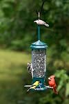 Squirrel Buster Legacy Truly Squirrel-Proof Wild Bird Feeder w/4 Stainless Steel Perches and 4 Seed Ports, for Clinging and Perching Birds, 2.6 lbs Seed Capacity, Green | 2.6 Lb Capacity, 4 Metal Perches and Ports, Weight-Adjustable Squirrel-Proof Sh