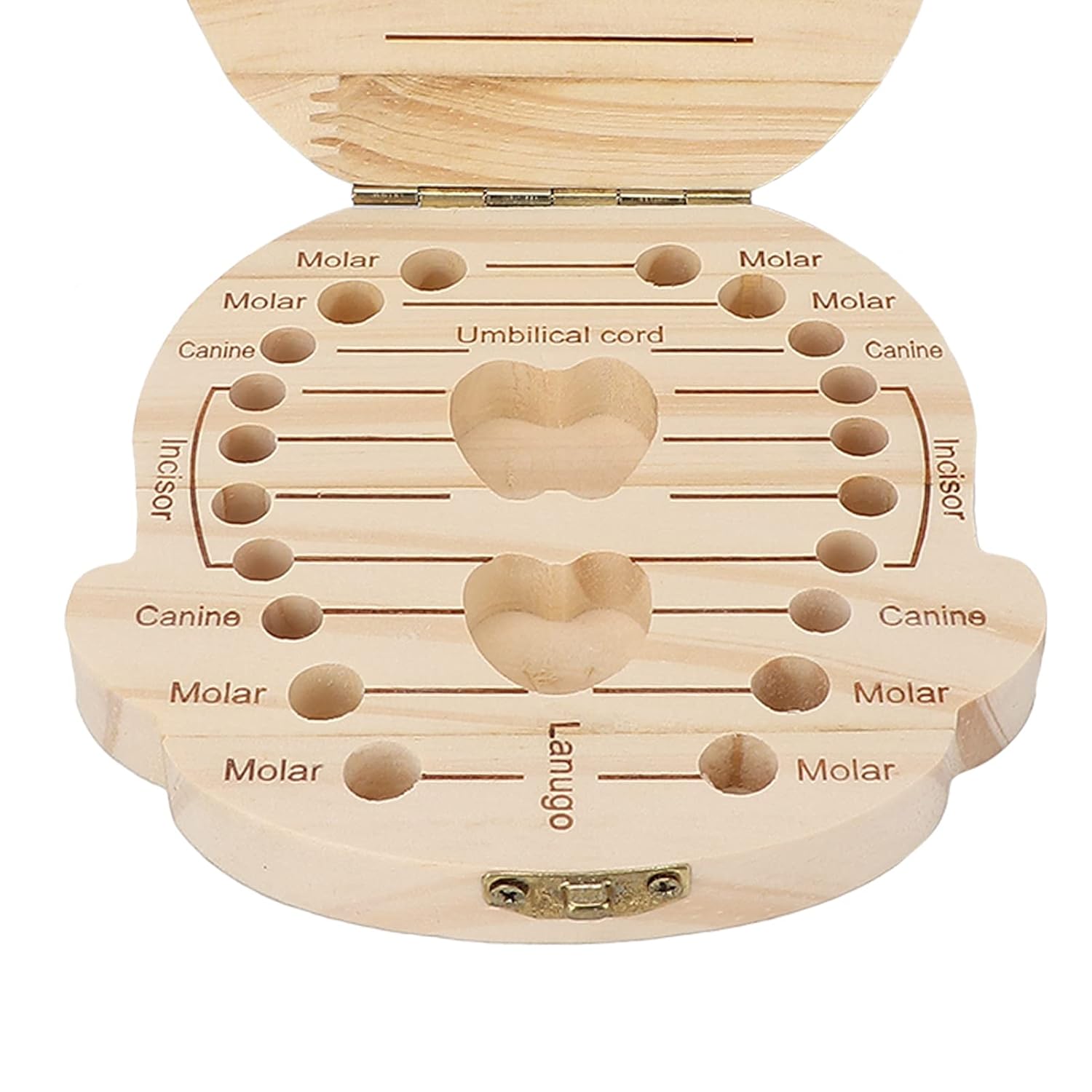 Baby Tooth Keepsake Box, Baby Wooden Tooth Box Individual Holes Primary Teeth English Kids Keepsake Box (Boys Type)