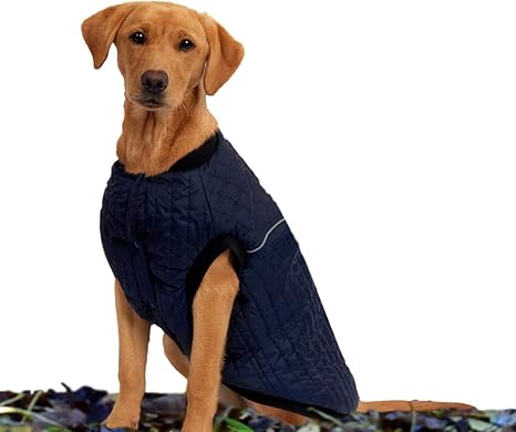 Navy dog coat Outlet