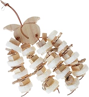 Parliky Brinquedo Papagaio De Corda Pássaros Brinquedos Brinquedos De Madeira Pequenos Animais Blocos De Mastigar Gaiola Papagaio Blocos De Madeira Papagaio Brinquedos De