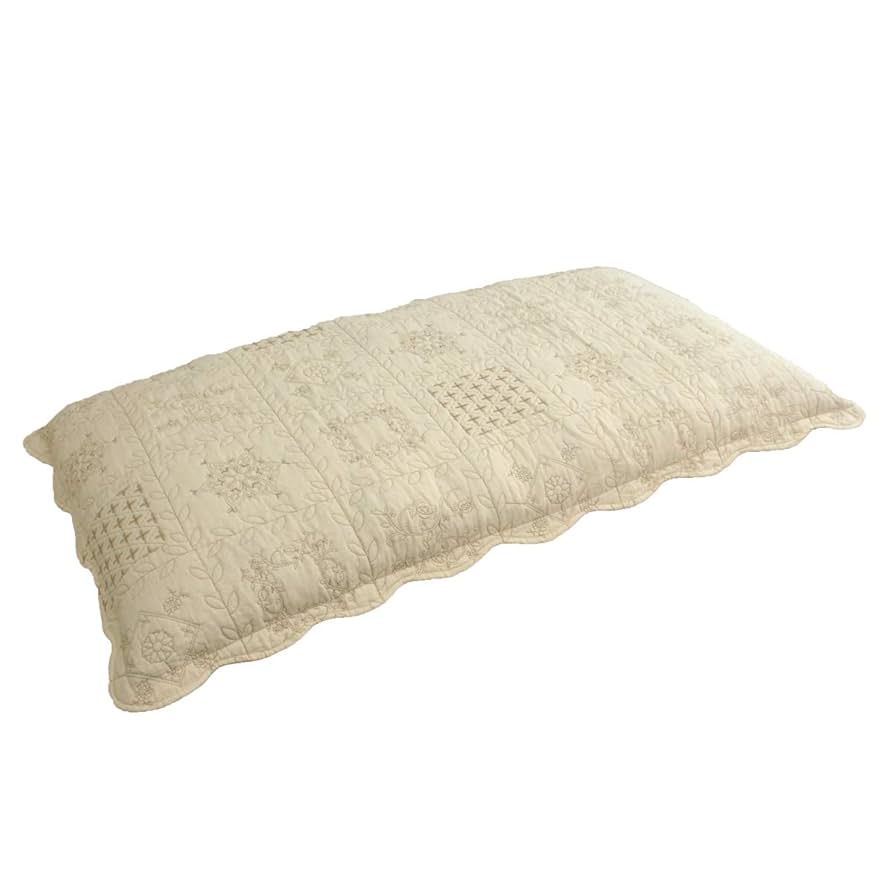 シルクシャンタン クッションカバー ベージュ 2枚セット大きめサイズ60