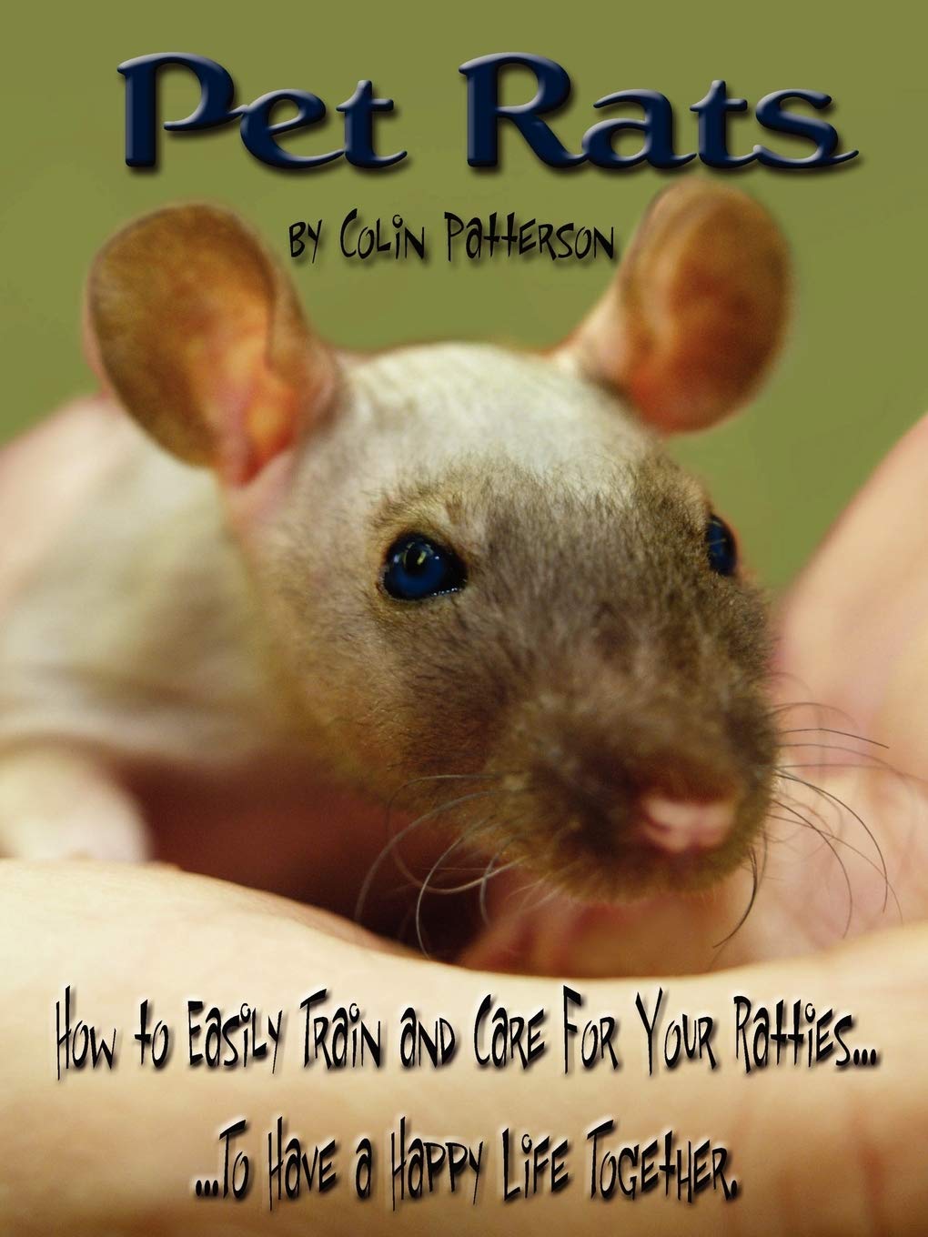 Pet Rats By Colin Patterson