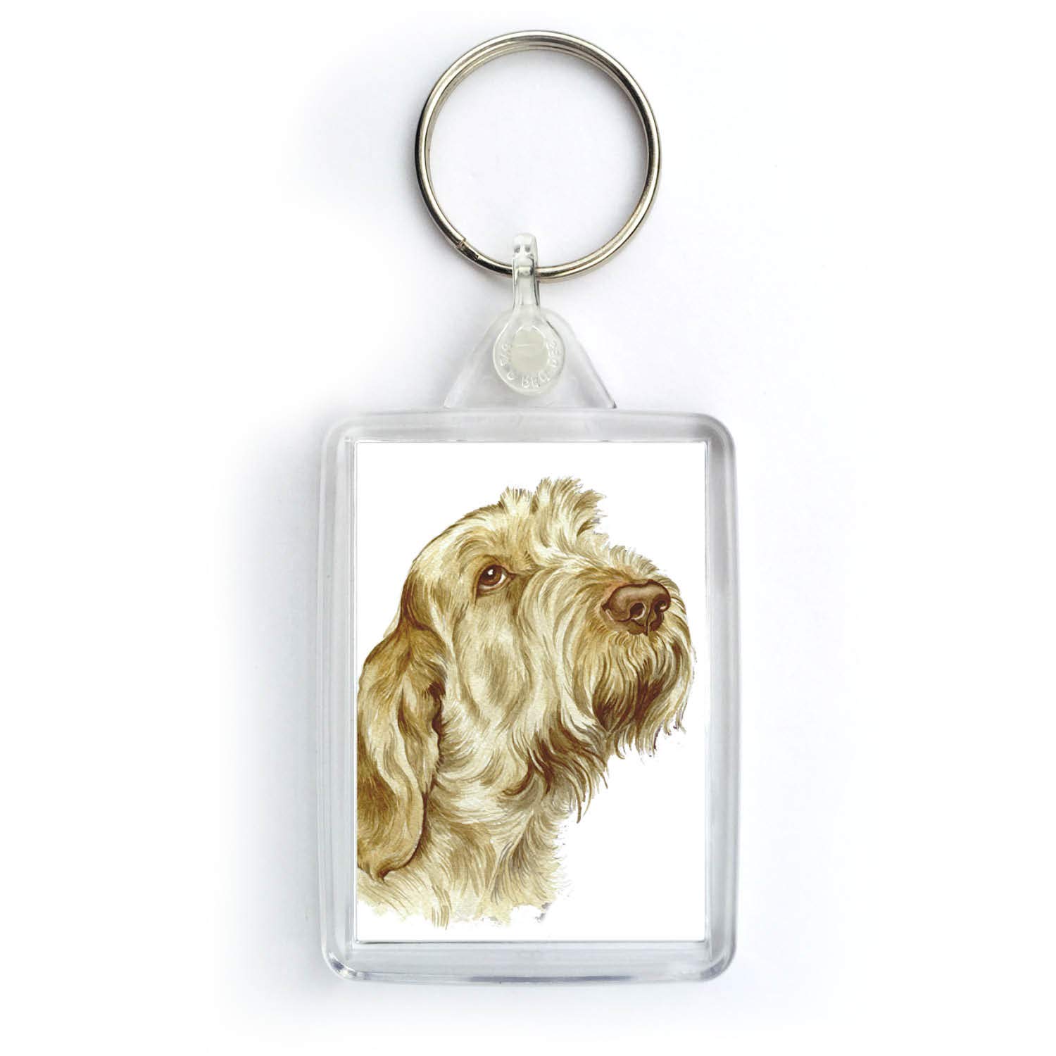 WaggyDogz Italian Spinone Dog Keyring (KRG-77)