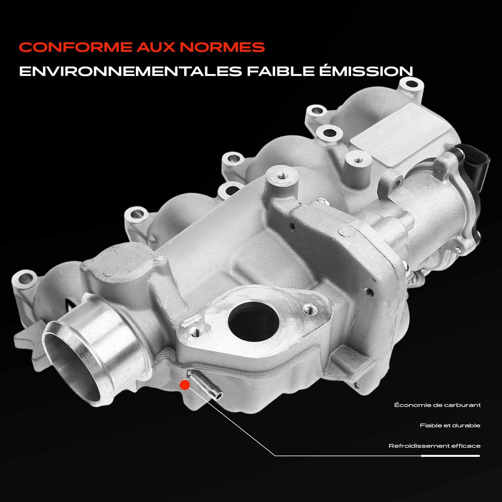 Frankberg Vanne EGR 4M5Q9424CA