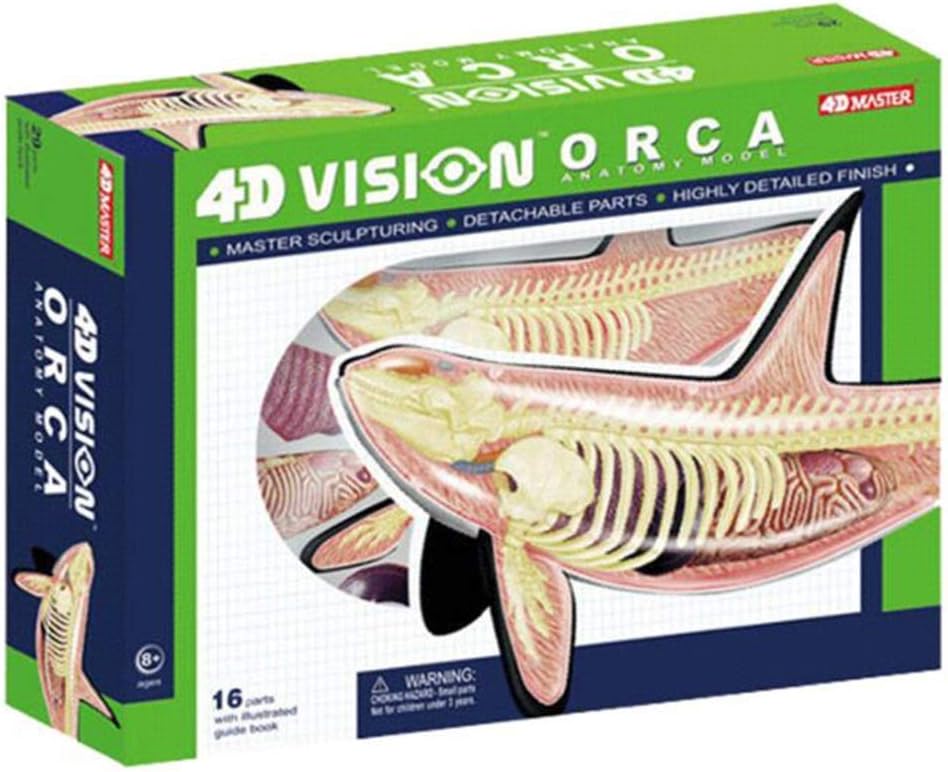 Amazon co jp 4D 16 amazon-co-jp-4d-16