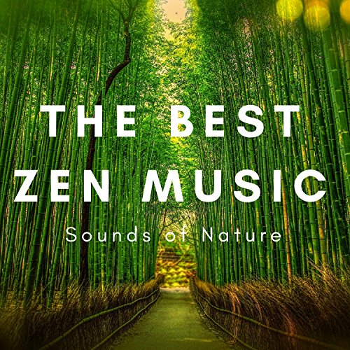 The Best Zen Music Sounds of Nature, Music to Help You Relax & Meditate for Yoga
