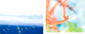 鍵井靖章　パイインターナショナル　絶版　三部 鍵井靖章 パイインターナショナル 絶版 三部 鍵井靖章パイ