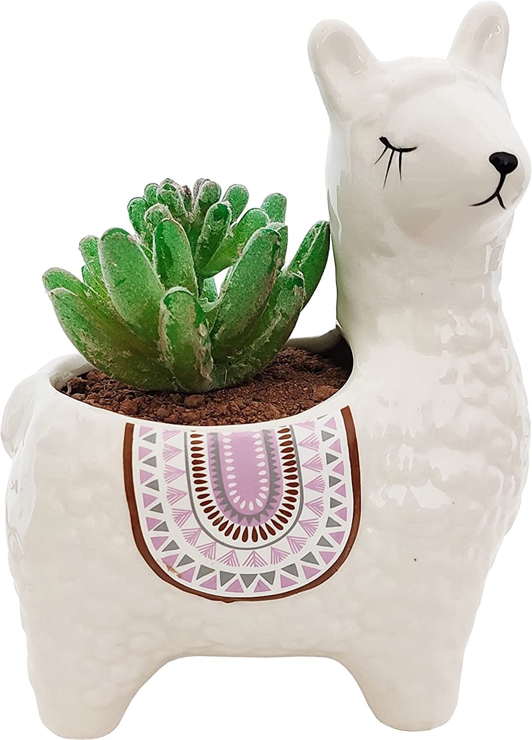 Cuteforyou Succulent Pot, Cute 14 cm Alpaca Shaped Ceramic Succulent Cactus Flower Plant Pot Planter for Home Garden Office Decoration (Plant Not Included) (White)