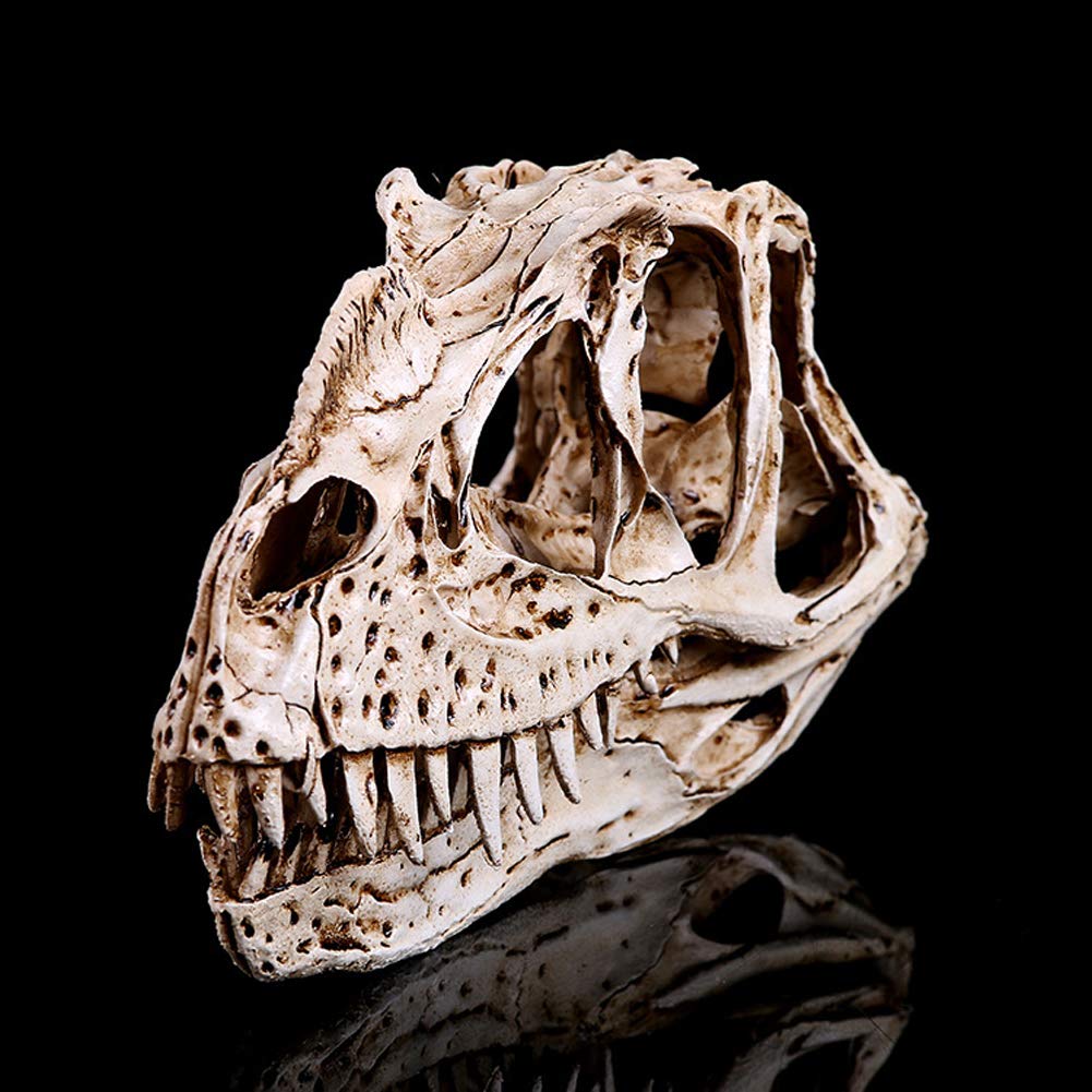Model Statua Żywicy Ręcznie Robiony Dinozaur - Edukacyjne Zabawki Naukowe, Archeologiczne Badania Zwierząt, Model edukacyjny Anatomia B