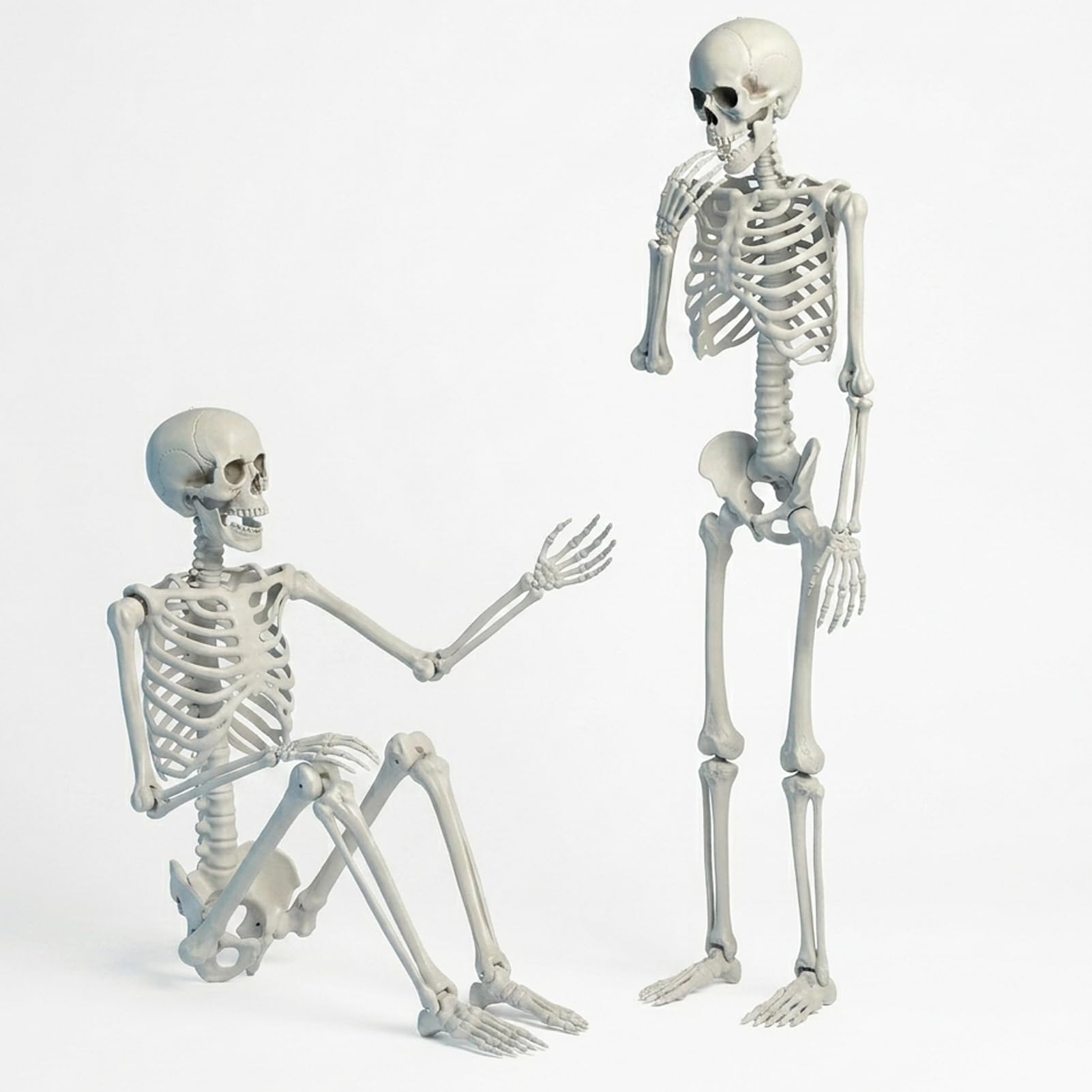 Szkielet 165 cm Halloween możliwe ludzkie kości na całe ciało z ruchomymi przegubami do dekoracji wewnątrz/na zewnątrz 170 cm