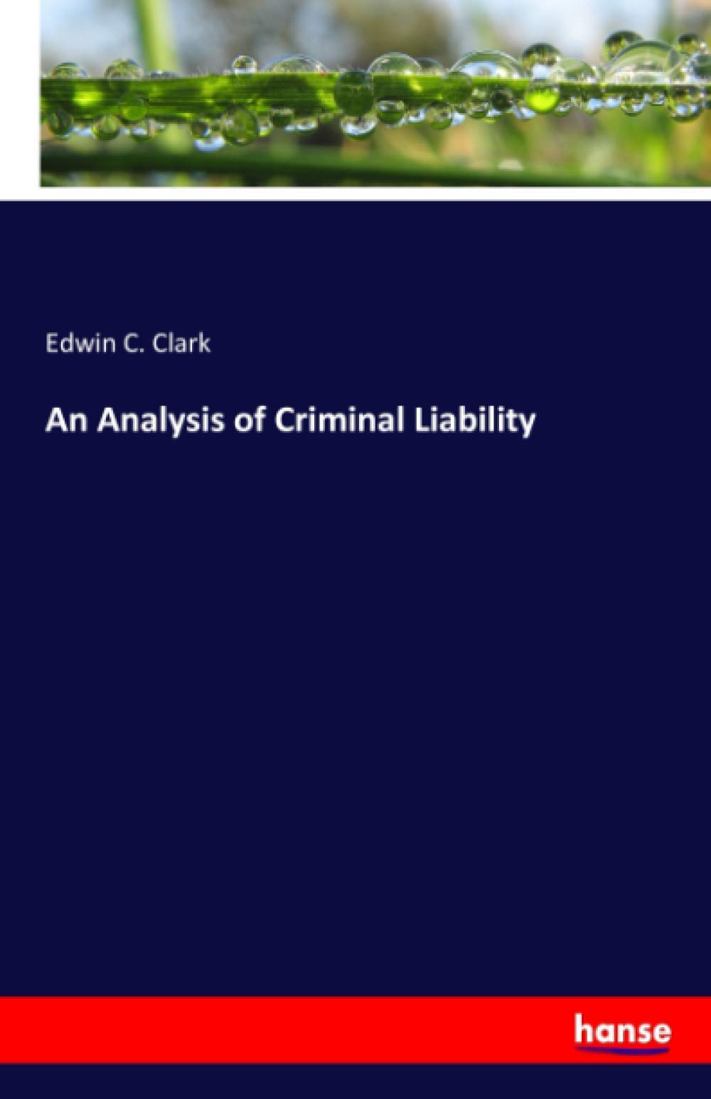 An Analysis of Criminal Liability