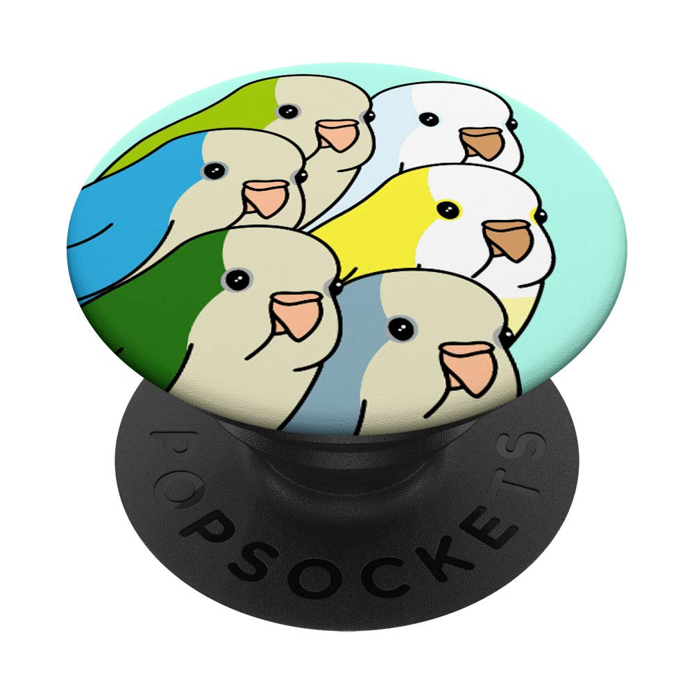 Cute Monk Parakeet Chubby Quaker Parrot Doodle Kawaii Bird PopSockets PopGrip: Swappable Grip for Phones & Tablets