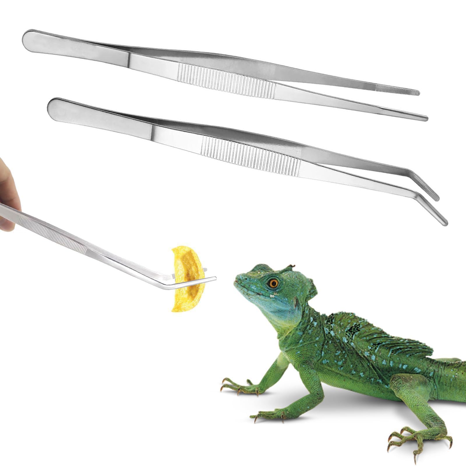 Fogcosy 2 Pieces Reptile Feeding Tongs, Stainless Steel Reptile Accessories, Geckos and Snakes Aquarium Straight and Curved Long Tweezer Terrarium Feeder Tool for Tank (Silver, 10.6 Inch)