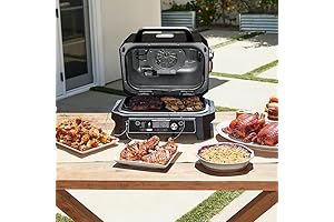 Ninja Woodfire Pro Connect Premium Outdoor Grill and Smoker