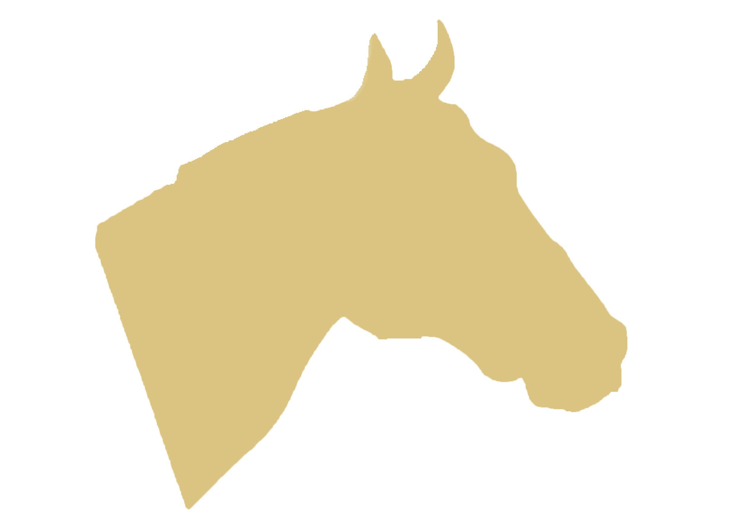 Horse Head Unfinished Wood Cutout, No Sanding Required, 1/4" Laser Cut Smooth MDF Cutout, Home Décor, Crafts, DIY Projects, Made in USA by Diverse