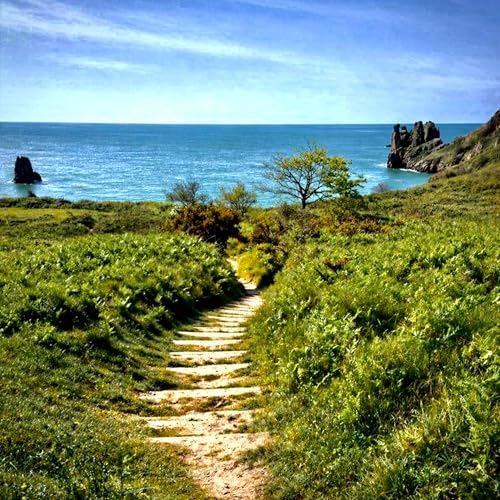 Guided Walking Meditation for Anxiety: Overthinking - New Thoughts: Feel Calm