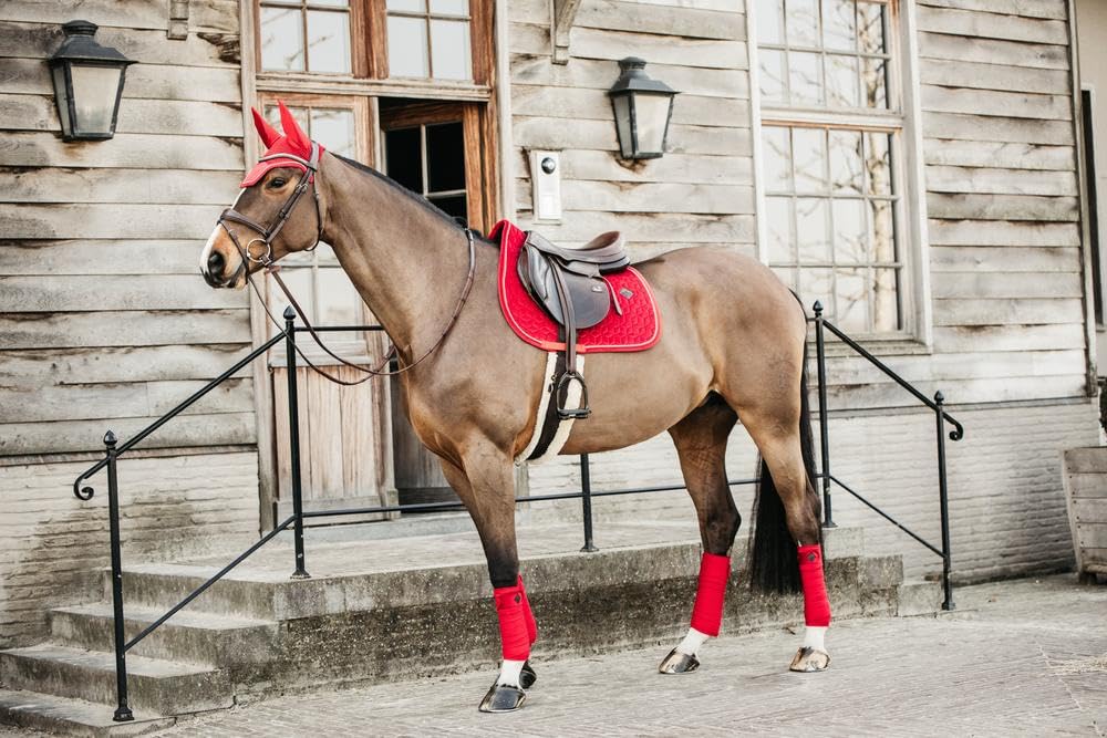 Tapis de selle FULL - Rouge - Velours - Concours complet