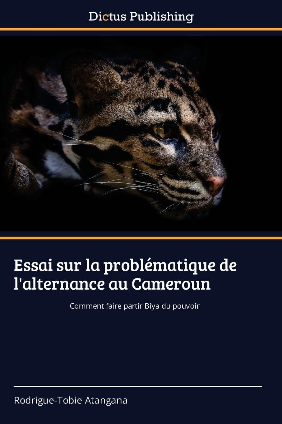 Essai sur la problématique de l'alternance au Cameroun: Comment faire partir Biya du pouvoir