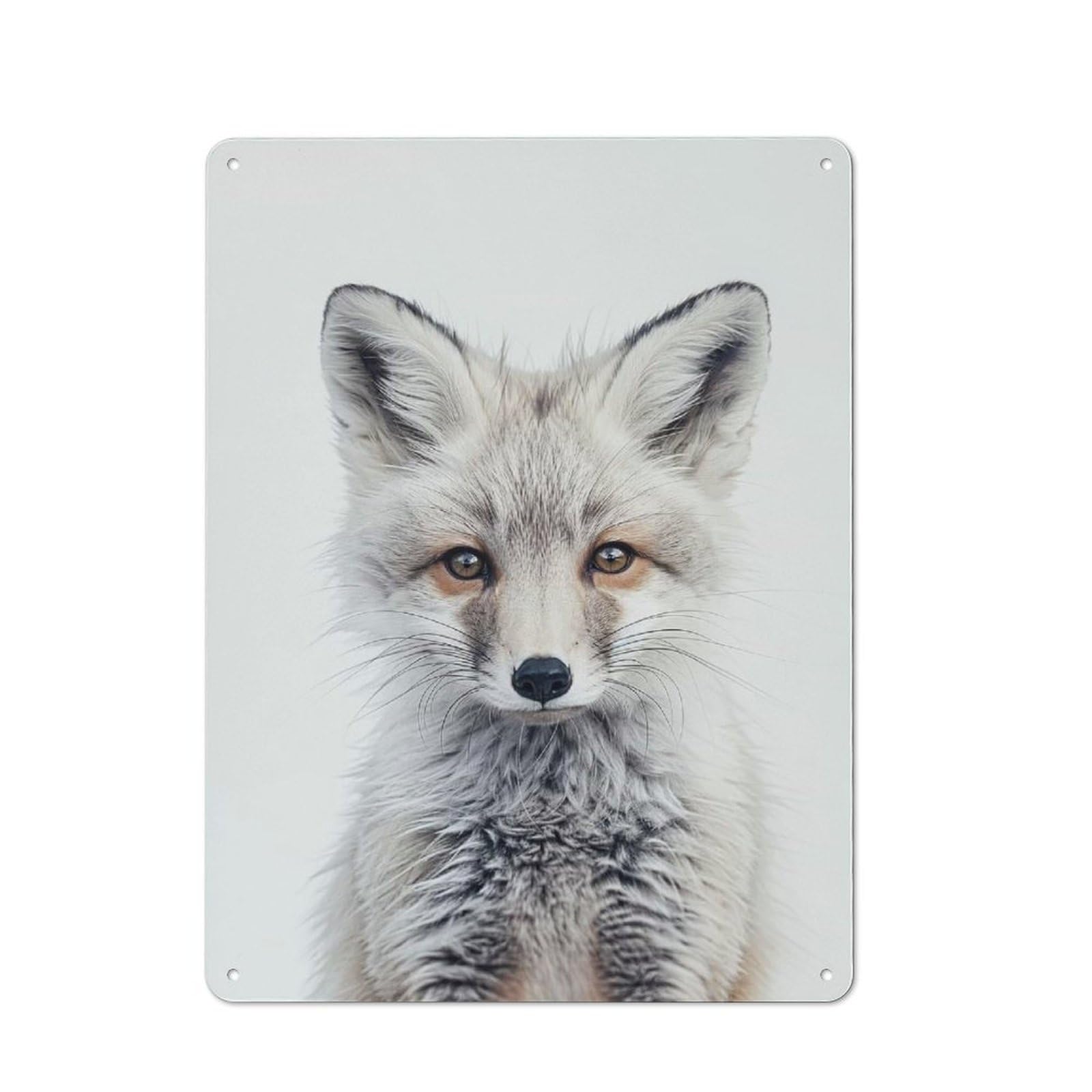 Junmoney Style-3 Cute Baby White Fox Rustic Metal Sign 40X30cm For Garden Room Or Summerhouse, For Summerhouse Decorators