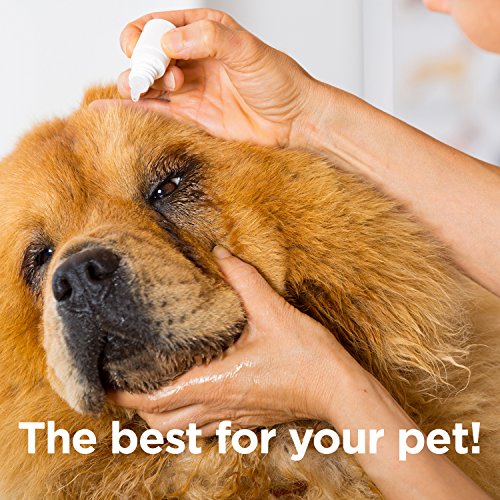 ocluvet eye drops for dogs