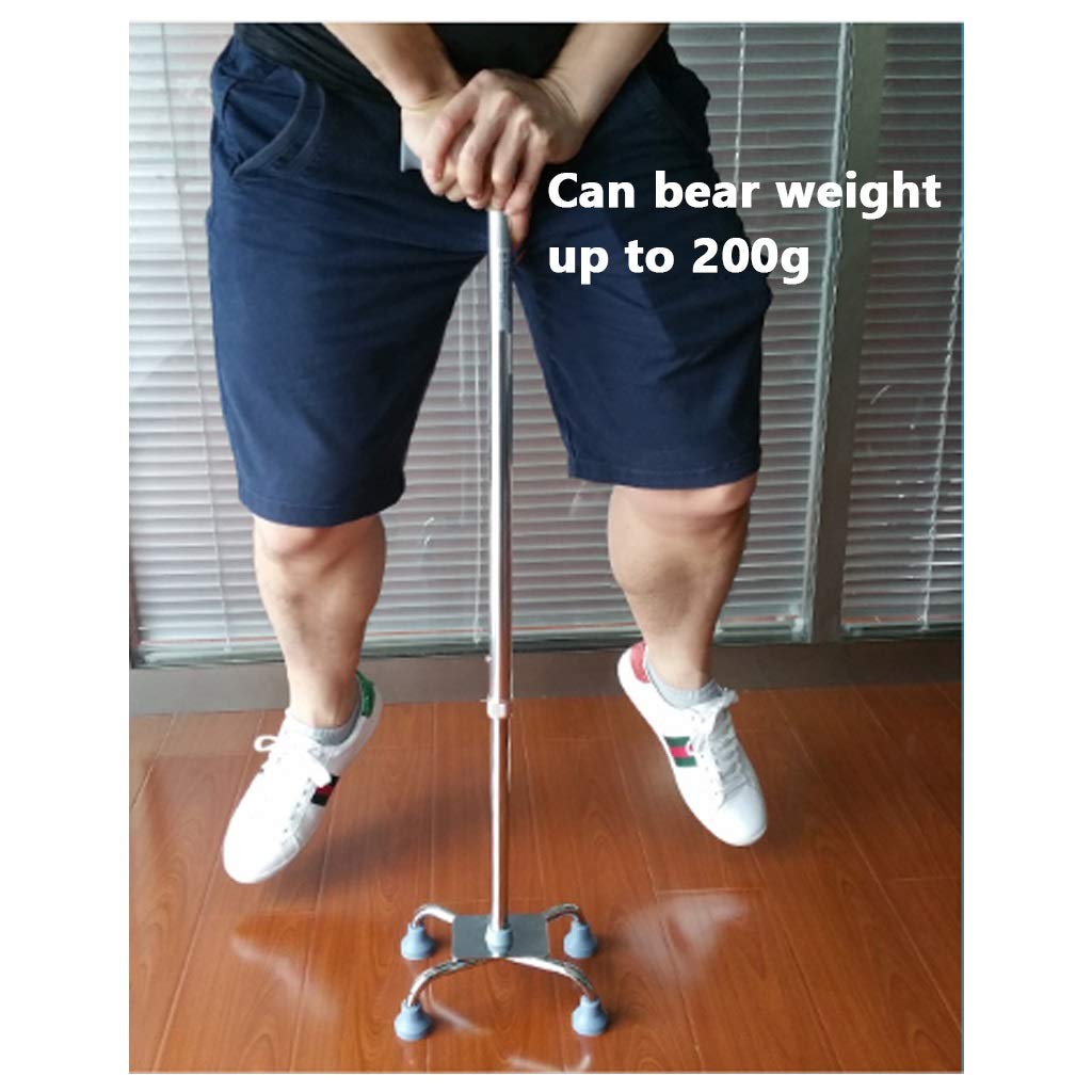 YXCKG Bastón para Caminar para Hombres Y Mujeres, Bastón De Paseo De Altura Ajustable 66-89 Cm, Ligero Bastón, Adecuado para Ancianos, Padres, Pacientes Ortopédicos.