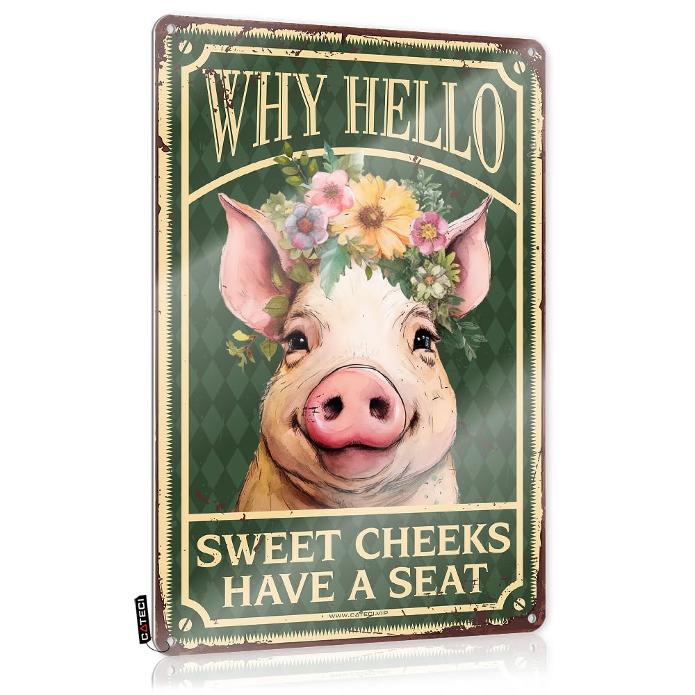 MWFKKADDB Metal Bar Signs Pig Wall Decor Why Hello Sweet Cheeks Have A Seat Tin Sign Greenhouse Decorabstract Artaesthetic Desk Decoroffice For Women Backyard Bar Sign Metal Bar Decor(30X40CM)