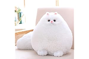 Winsterch Cat Toy for Girls: The Perfect Plush Companion