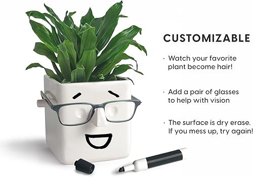 Miniatura 3 de Maceta suculenta de 30 vatios/Bogeypro para Faceplant – Maceta de cerámica blanca y soporte para gafas
