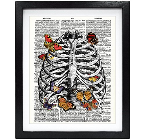 Susie Arts 8X10 Unframed Butterfly in Rib cage Upcycled Vintage Dictionary Art Print Book Art Print Funny Art Print Anatomy Wall Art V136