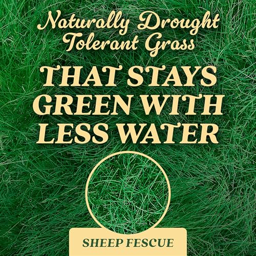 Image of O.M. Scott & Sons Sheep Fescue Seed, 0.9 lb.