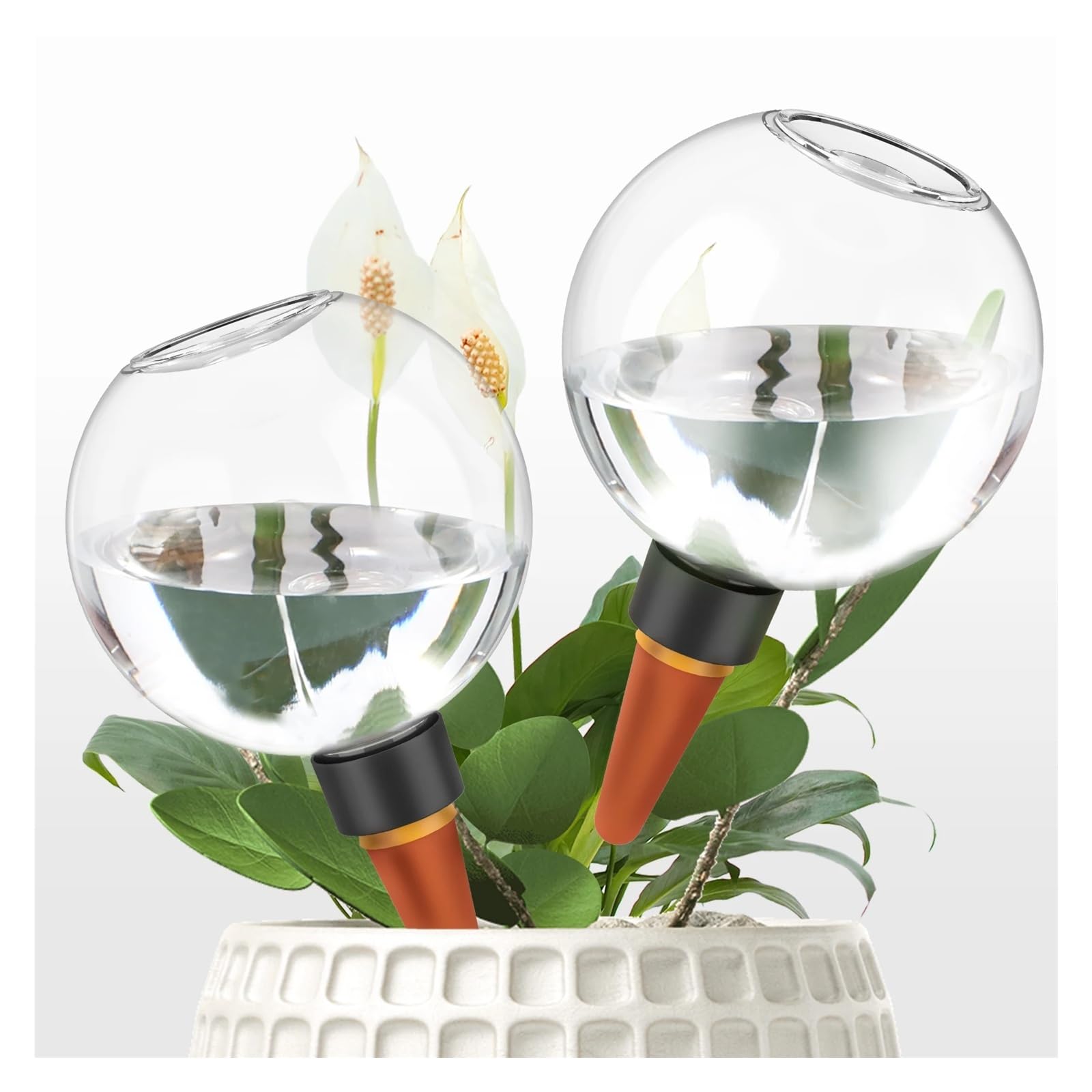 2/4 pezzi 500ML sistema automatico di irrigazione a goccia impianto di irrigazione automatica lampadine for piante da fiore da giardino dispositivi di irrigazione a sfere(4Pcs)