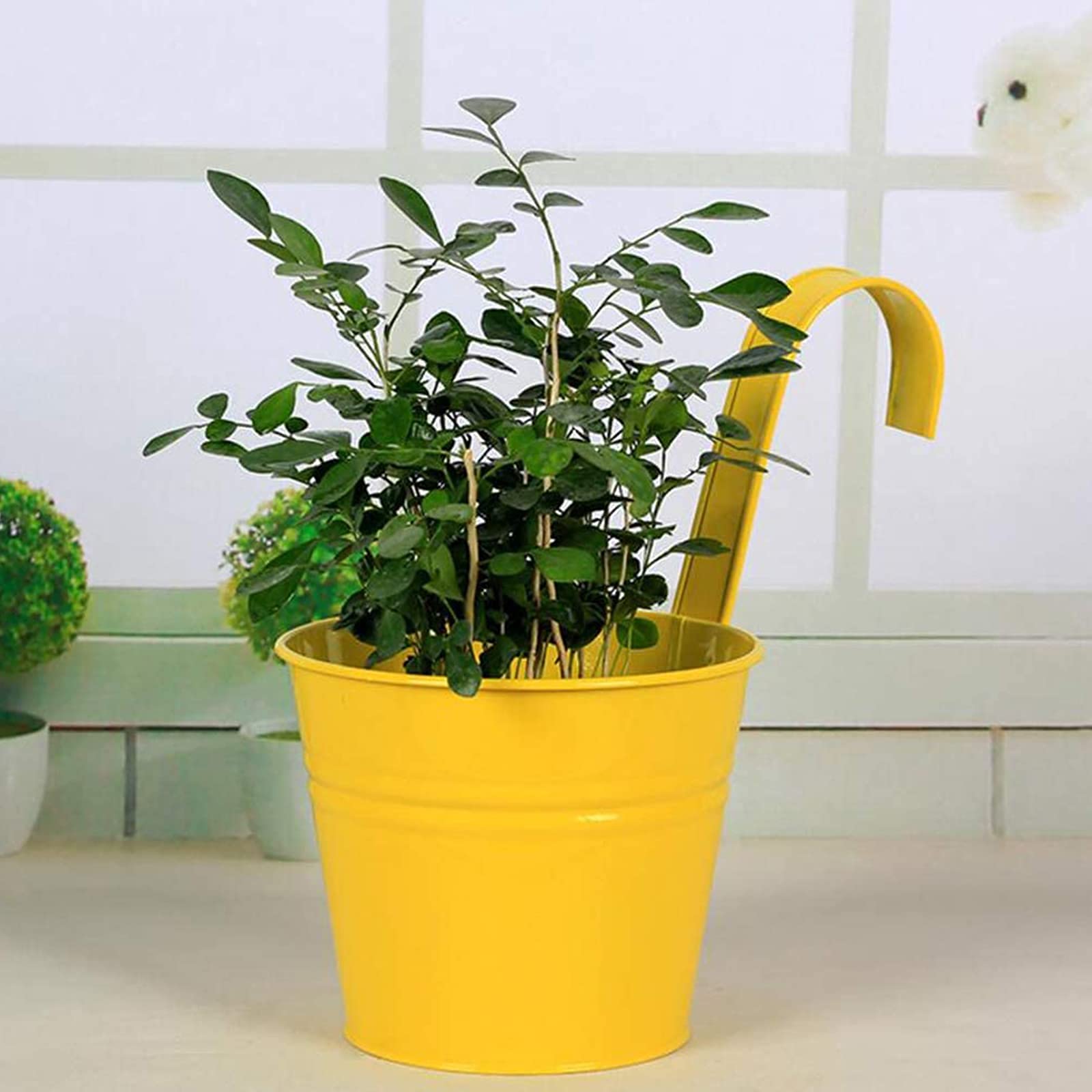 Lot de 10 pots de fleurs suspendus - Multicolore - En métal - Avec poignée amovible - Pour fleurs, herbes, plantes succulentes - Lot de 10