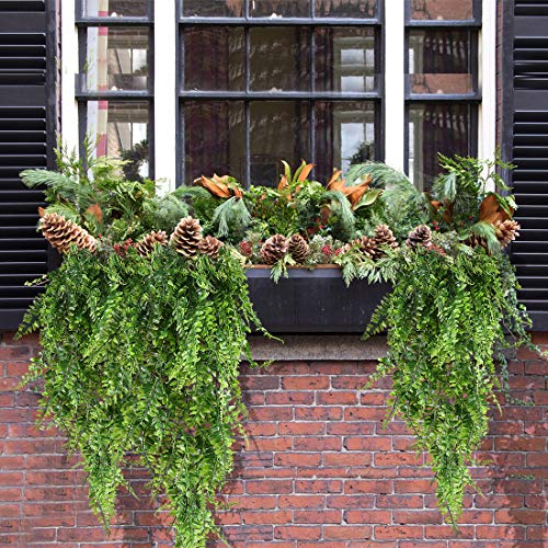 Haplia Artificial Plants Vines Ferns Persian Rattan Fake Plant Faux Hanging Boston Fern Flowers Vine Outdoor Uv Resistant Plastic Plants For Wall Indoor Hanging Baskets Wedding Garland Decor-2 Pcs #TOP5