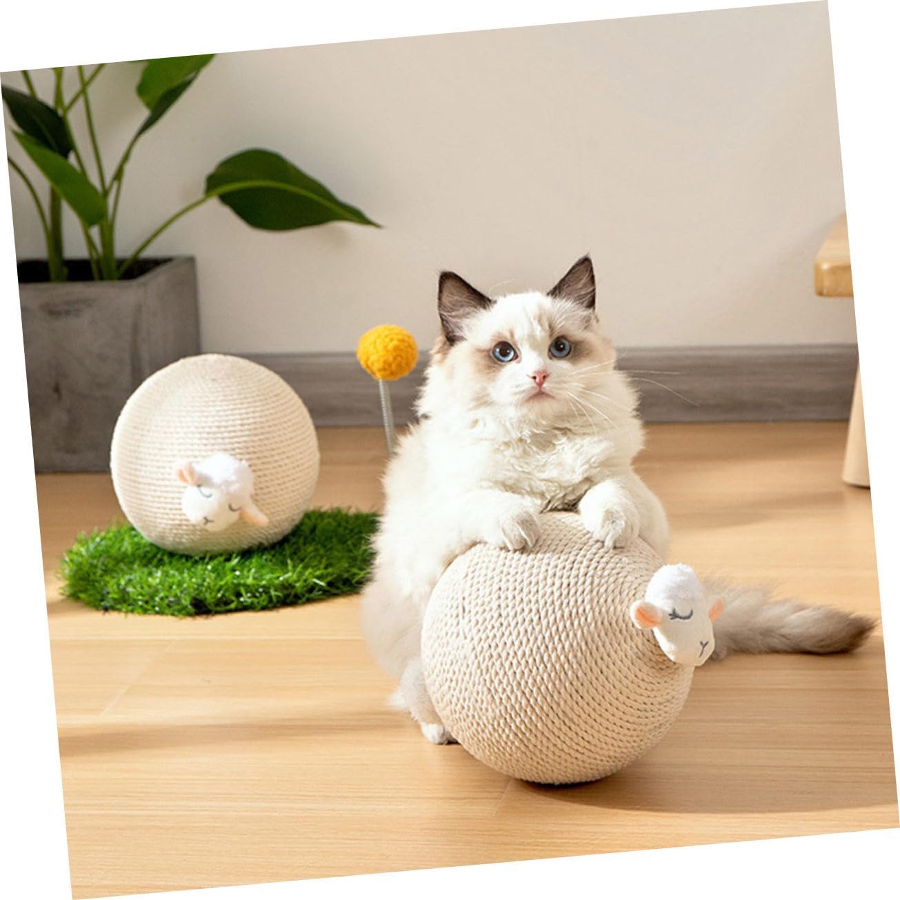 SUPVOX Interactive Scratching Toy for Cats Material Lightweight Design Indoor Plaything for Kittens to Prevent Scratching Furniture