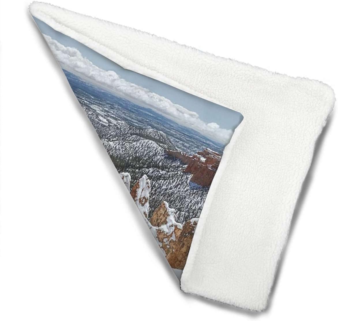 review White Brown Ultra Soft Thick Flannel Dog Cat Bed Mats Aerial View Snowy Weather Winter Super Soft Plush Dog Crate Pad for Travel or Home Winter 18