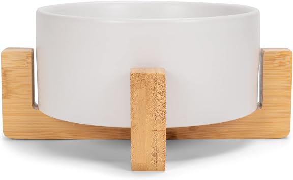 NAT & Jules Small White 6 inch Stoneware Ceramic and Wood Pet Bowl with Stand