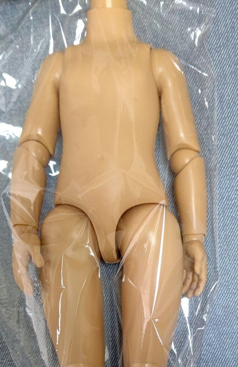 Amazon.co.jp: パオラレイナ パオラドール 可動ボディ 足首動くタイプ  