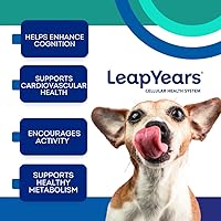 Vista 3 de Leap Years Suplemento masticable suave para perros – Apoya el envejecimiento saludable, la cognición y la vitalidad; formulado por veterinarios