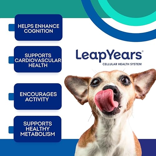 Miniatura 3 de Leap Years Suplemento suave para la salud del perro, suplemento cognitivo para perros, apoya la longevidad de tu mascota, cerebro, corazón y músculo