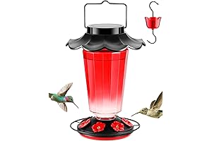 35 fl.oz Glass Solar Hummingbird Feeder: An Oasis for Hummingbirds