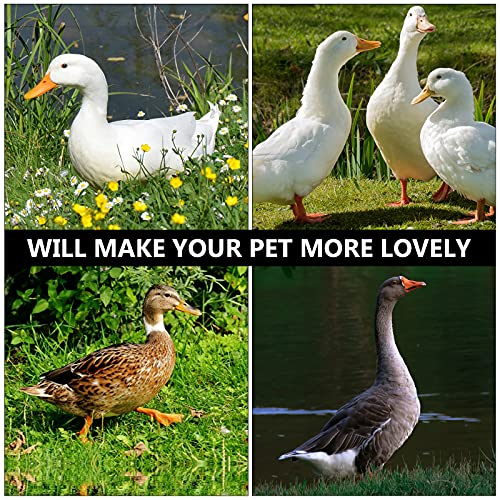 iplusmile Vogel Accessoire 1St Huisdier Luier Huishoudelijke Pluimvee Luier Cartoon Eend Katoen Luier voor Thuis - Afbeelding 3
