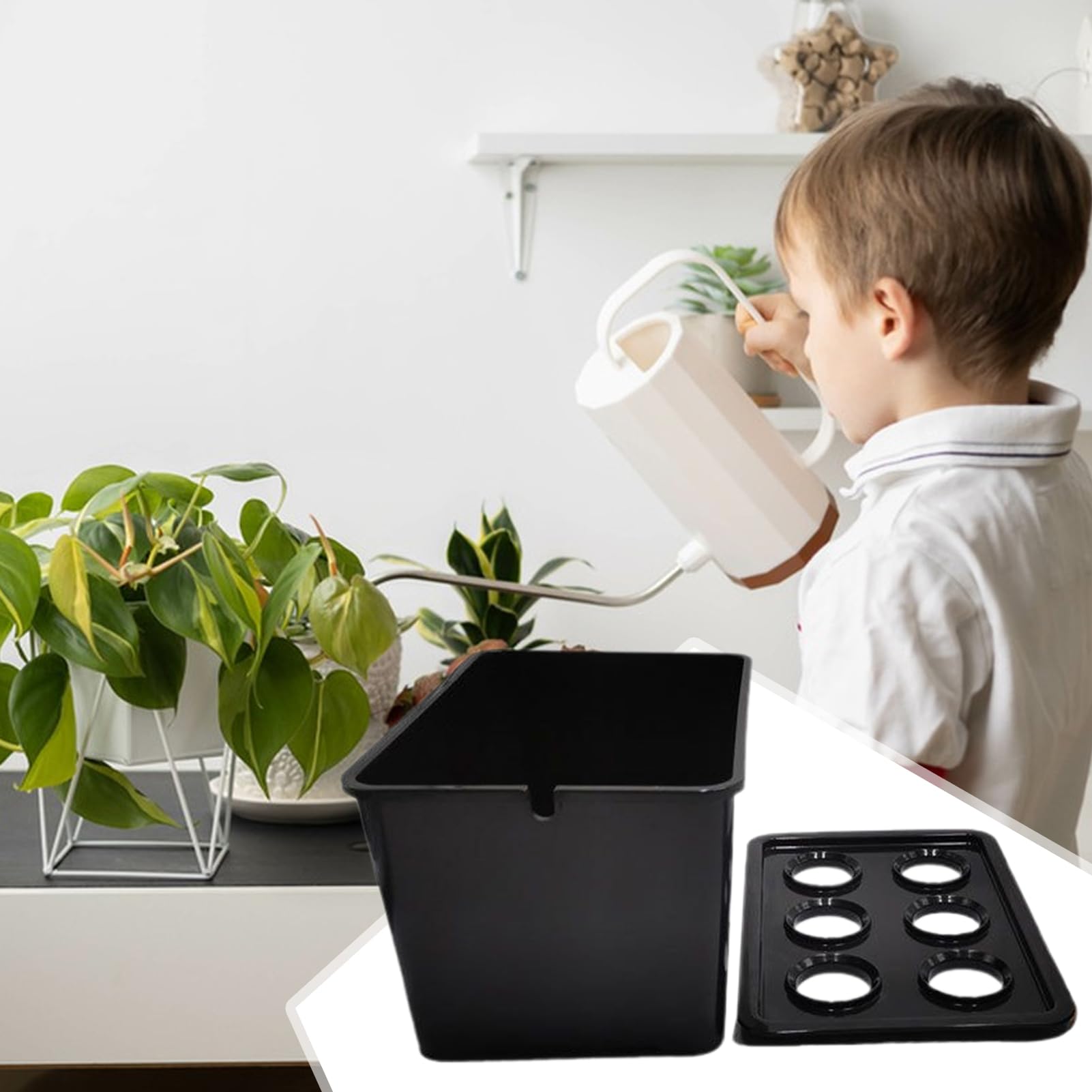 Hydroponics Growing System Kit6-Holes Germination SystemSoilless Cultivation Box | for Vegetables Flowers Fruits Indoor Outdoor Garden Greenhouse Farm Backyard Windowsill Balcony product thumbnail 4