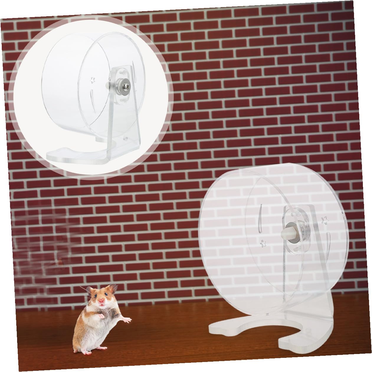 Leises Hamsterrad mit Ständer 22cm Transparentes Laufrad für Hamster Rennmäuse und Kleine Haustiere Geräuschloses Aktivitätsspielzeug