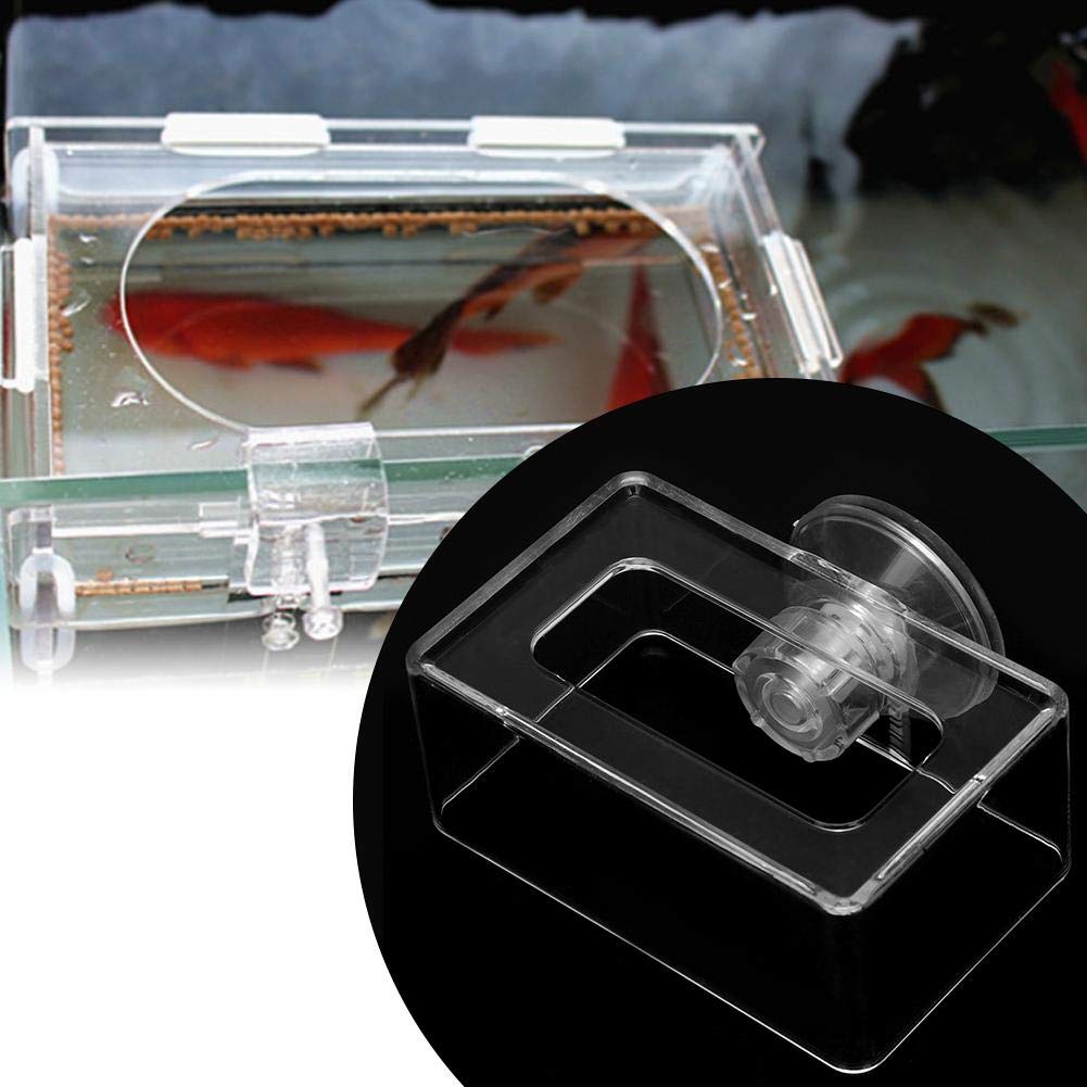 Hffheer2PCS Fish Feeding Acrylic Floating Fish Food Feeding Ring Betta Goldfish Fish Feeding Ring for Aquarium Fish (S)