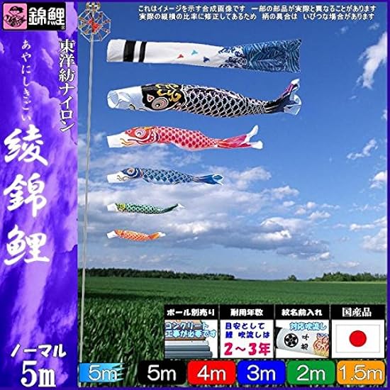鯉のぼり ワタナベ 錦鯉 ノーマルセット 綾錦鯉 5m5匹 浪千鳥吹流し