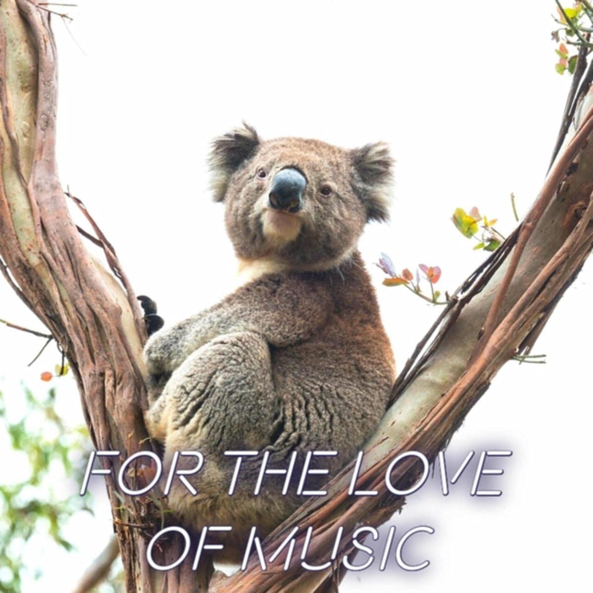 For the Love of Music